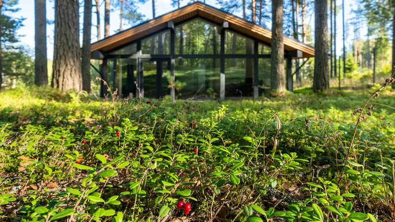 Вид на дом NORD-110 с участка