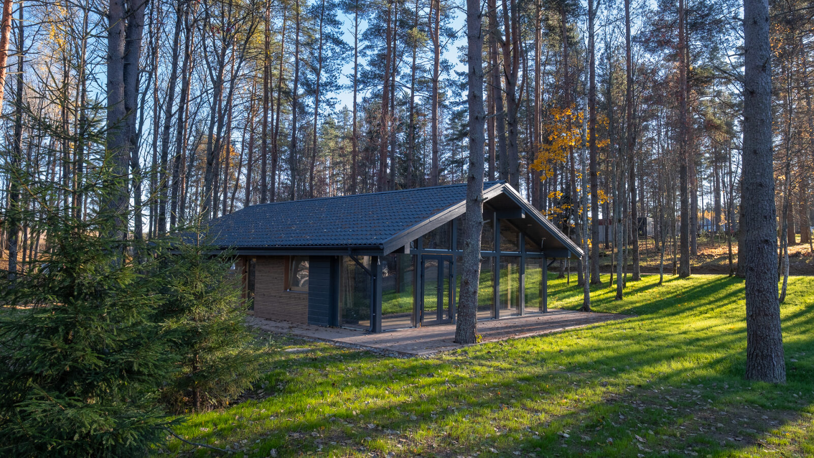 Золотая осень в поселке Круглое озеро