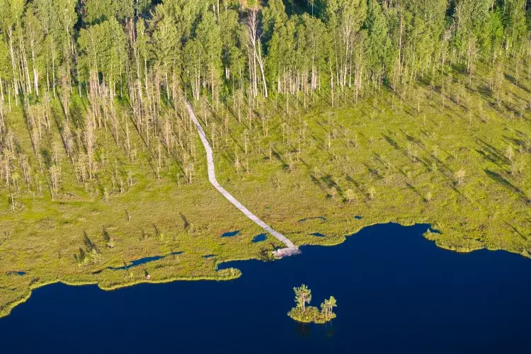 Lake View