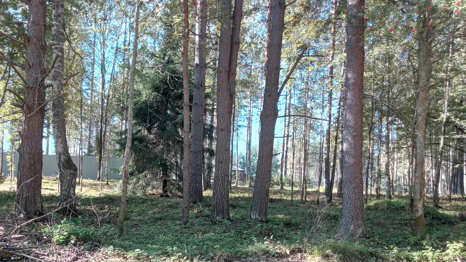Участок №20