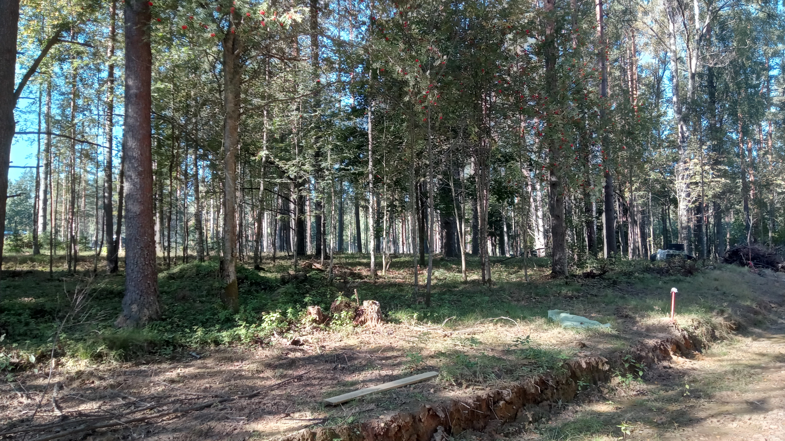 Участок №21