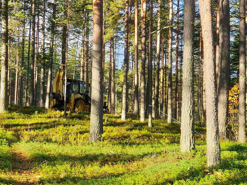nordplan